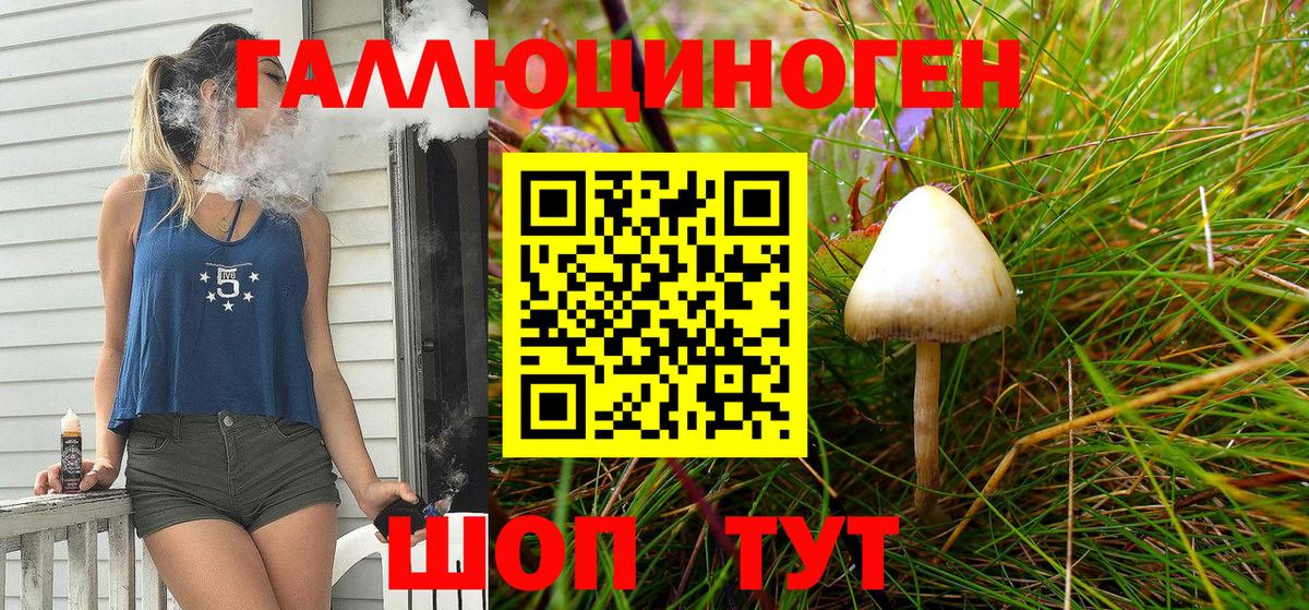 Галлюциногенные грибы прущие грибы Коммунар