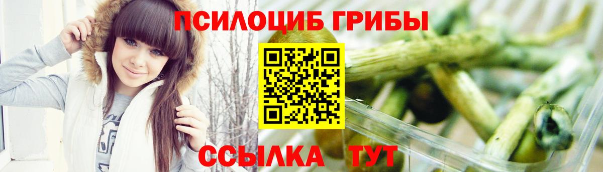 Галлюциногенные грибы Cubensis  Вход с VPN  Коммунар 